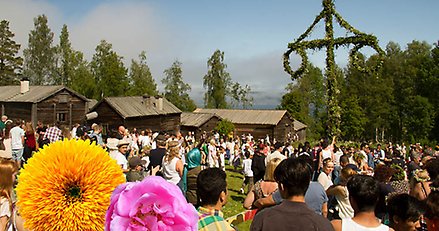 Traditionellt midsommarfirande med midsommarstång på ett friluftsmuseum med många äldre träbyggnader,