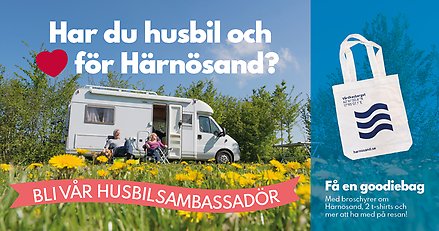 Husbil parkerad på grön gräsmatta med massor av gula blommor. En person sitter i en solstol utanför bilen.