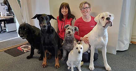 gruppbild med två kvinnor och fem hundar