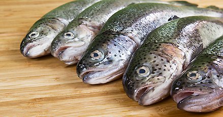 fiskar på en skärbräda