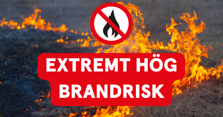En skogsbrand.