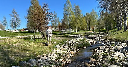 en person med två små hundar går längs en bäck