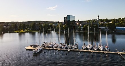 en brygga med många segelbåtar