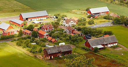 Gårdar på landsbygden.