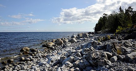 Klapperstensfält, hav och skog
