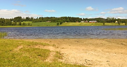 Brånsvikens sandstrand.