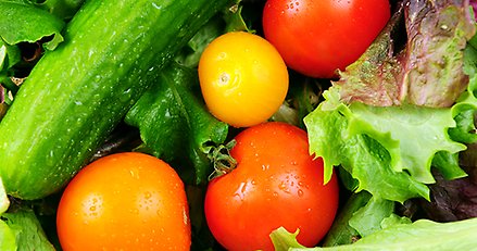 närbild på grönsaker, bland annat en squash, tomater och salladsblad
