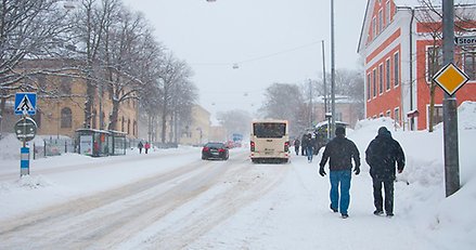 Två personer sedda bakifrån går på trottoar i snöyra