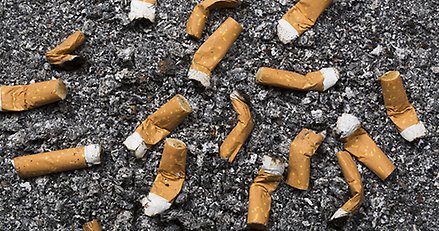 många cigarettfimpar på marken