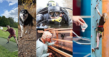 kollage med bilder på en discgolfspelare, en hund, en dykare, en vävstol, ett badmintonracket och en klättrare