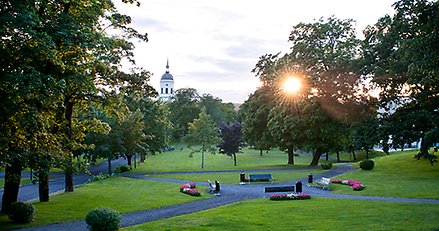vy över park med kyrka i bakgrunden och solnedgång bakom ett träd